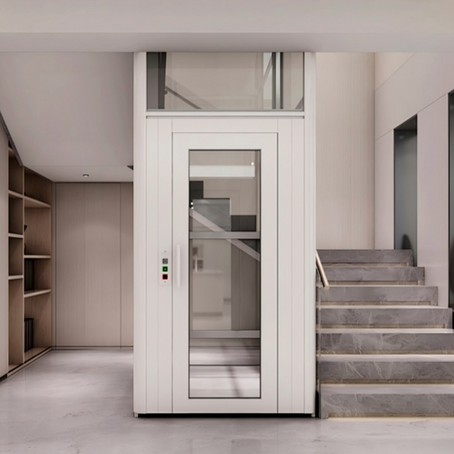 Mini Escalator Modern Panoramic Home Elevator for Outdoor Passenger Lift